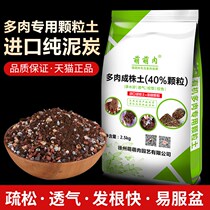 Multi-meat soil special granular nutrient soil meat meat plants imported peat leaves planting soil paving stone universal type