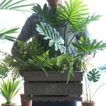  Sicilian simulation green plant combination set wooden box green plant country garden courtyard balcony decorative plant ornaments