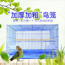 Bird Cage Large Size Special Iron Art Villa Octogenate 8 Gwren Painted Brow of the Eyebrow Tiger Leather Peony Parrot Cage Breeding Cage