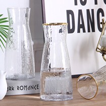 Hammer Weave Creativity Transparent Trumpet Hydroponic Plant Art Vase Table Decorations Hotel Rich and Bamboo Flowers Inserts