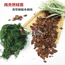 Kindergarten ring Chuang decoration material air-dried bark photo props Forest pine veneers natural Carex