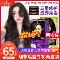 2 boxes of Schwao dyed hair Moise foam hair dye for white hair Pleasant Hair Cream Pop Black Tea Color Yourself