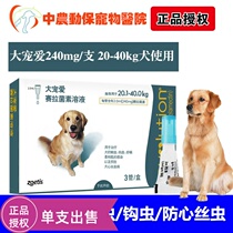 Big pet in vitro deworming dogs in large dogs in vitro lice Flea mites heart worm drops 240mg