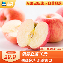 Box horse Shandong Qixia red Fuji Apple Net Weight 5kg single fruit 80mm fresh fruit big fruit apple crisp sweet