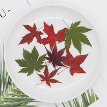 Maple leaf real flower embossed specimen teaching DIY childrens handmade photo frame bookmark Epoxy mobile phone shell candle material bag