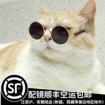 Kitty photo props to blame for pet sunglasses to decorate small sunglasses net red round buy to play and just be good oh