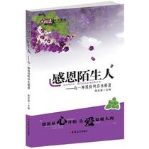 Genuine Stranger Chen Qingying Gilin University Press