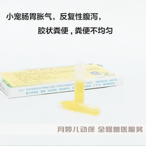 Bloating gas liquid large belly bloated stomach flatulary Diarrhea Hamster Squirrel squirrels Flowers Branches F21 Medicines