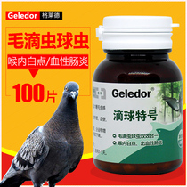 Gladhair driverless dove medicine caterpillar coccifera two-in-one mouth yellow water pitchy pigeon medicine big all common illness