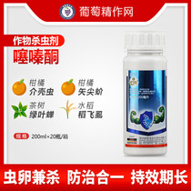Nopsuke Fei Buthiazinone Floral Citrus whitefly scale shell worm mealybug pesticide insecticide