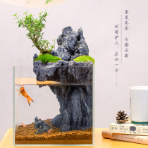Home small new fish tank living room desktop creative ultra-white tank water-free lazy ecological micro-landscape water and land tank