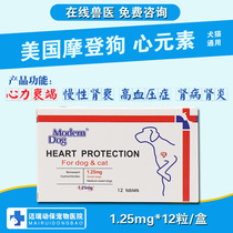 American modern dog heart element pet heart kidney disease medicine dog cat heart failure kidney failure high blood pressure