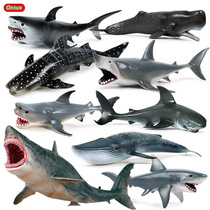 Child Solid Simulation Marine Life Model Great White Shark Shark Giant Tooth Shark Whale Shark Whale Shark Blue Whale Toy Pendulum