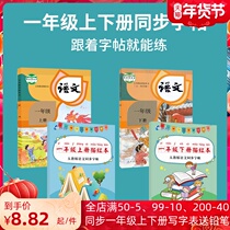 Primary school students first and second grades red books synchronous word cards kindergarten preschool writing childrens copybook