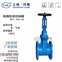 Z41X-10 16C cast steel Open Rod soft seal gate valve elastic seat seal valve DN50 80 100 150 200