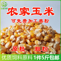 Corn feed chicken feed Corn grain Corn grits Corn ballast Chicken duck goose grain farm raw materials Bait