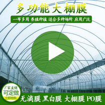 Agricultural greenhouse film insulation transparent plastic film cloth thick black and white film culture film greenhouse vegetable drip film