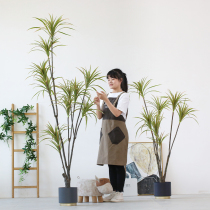 Nordic wind simulation plant decoration dragon blood tree fake green plant potted dragon blood iron living room indoor floor decoration decoration