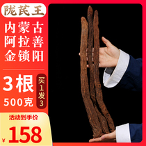 Longqi Wang Yitang Yjin Three Whole Root Cynomorium 500g Inner Mongolia Alxa Non-Cynomorium Tablets