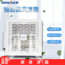 Ortho Cool Bully Kitchen Flush flush toilet integrated ceiling cold air fan Kitchen Fan Cool FBL30F