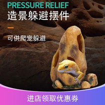 Crawler crawling pet to avoid drying table resin landscaping BAO WEN guard mane lion lizard rock snake avoiding nest turtle spider corner