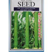 Dutch Mete medium green loofah seeds high yield long loofah seeds spring open-air greenhouse vegetables