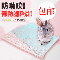 Dutch pig foot pad anti-bite large rabbit ChinChin guinea pig pet rabbit rabbit supplies rabbit cage accessories plastic pad