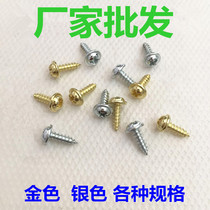 5000 304 anti-rust wood self-tapping screws Phillips head screws extended screws wood screws round head