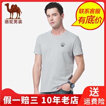 Camel Camel winter short sleeved mens round neck base standard mens T-shirt X9B203131