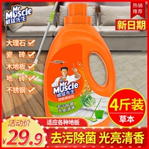 Mr. Weifery Wash Tile Flooring Cleanser Ground Floor Tiles Clean Decontamination Bacteria Home Wood Floor Mopping Liquid