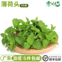 Peppermint leaf fresh edible fruit tea cake embellishment decoration wine and mint leaf head 55 milk tea shop supplies