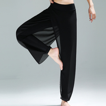 Spring and summer thin elegant ballet dance pants Female adult loose practice pants closed Harun pants Radish wide leg pants