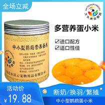  New egg millet tiger skin Xuanfeng peony parrot weaning food nutritional bird feed iodine calcium can not aphrodisiac