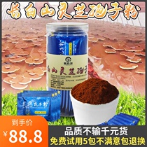 Northeast specialty pure Changbai Mountain Basswood ganoderma lucidum powder robe powder product high spore powder Nyingchi Toudao powder New goods