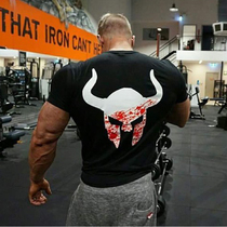 Muscle faith tide brand sports short-sleeved training brother basketball dog INS net red short-sleeved top mens fitness clothes