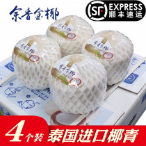 Thailand imported coconut Green 4 laden golden coconut large fruit about 1kg perfume coconut send open coconut straw