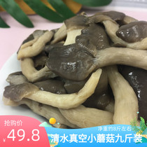Braised vegetables cold vegetables raw materials small mushrooms vacuum nine kg of flat mushrooms mushrooms edible mushrooms small gray mushrooms vegetarian dishes