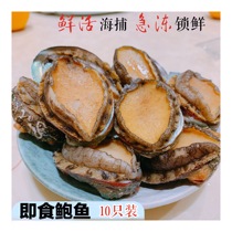 Ready-to-eat Abalone Wild Fresh Frozen Abalone to Dirty Seafood Aquatic Big 8 Head Frozen Abalone Meat thick