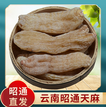 Yunnan Zhaotong Tianma 250g500g dried non-Tianma fresh non-wild non-special grindable Tianma tablet powder