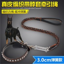 Medium large canine dog traction rope with gold mullabrador bull leather collar for dog rope dog chain sub-supplies