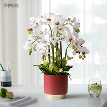Roman Mom Creative Feel White Butterfly Lan Emulation Flowers Fake Flowers Potted set Desktop tea table Decorative Bonsai