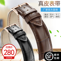 Zhisheng strap can replace Tiansuo Longines Armani ck Kasi Omega watch strap cow leather male Lady