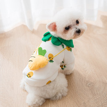 Spring and autumn and winter puppy sweater Cartoon bear two-legged coat Cat small and medium-sized dog cat Cat pet fashion clothes