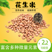 Little hamster raw peanuts eat food golden bear staple food flying squirrel supplies squirrel snack feed 100g