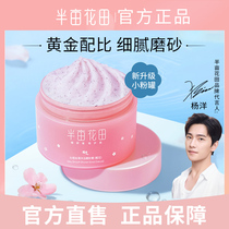 Half acre flower field cherry blossom ice cream body scrub exfoliating body pimple hair follicle men and women glow small powder cans