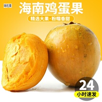 New egg fruit 2 catty bouquets great fruit eggs yellow fruit tropical When seasonal fresh pregnant women fruit not common 5
