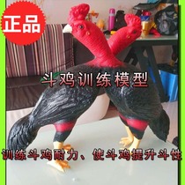 Cockfighting Cockfighting supplies Cockfighting training supplies Cockfighting model cockfighting competition model chicken cockfighting fake chicken