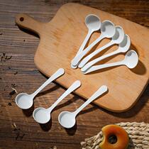 Spoon Spoon Spoon Stirling Spoon Plastic Home with Small Spoon Salt Spoon Salt Spoon