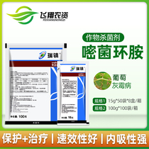 Syngentine Daruizhen 50% Cycloamine Cucumber Grape Strawberry Pepper Botrytis cinerea Pesticide Fungicide