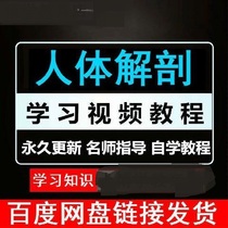 Human anatomy teaching video tutorial Full set of clinical anatomy Anatomy methods practical operation explanation course